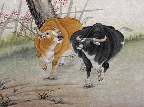 改头换面是什么生肖、奥秘解释落实 改头换面是什么生肖、奥秘解释落实