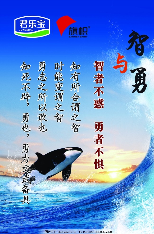 针锋相对猜一生肖，智慧与勇气的较量