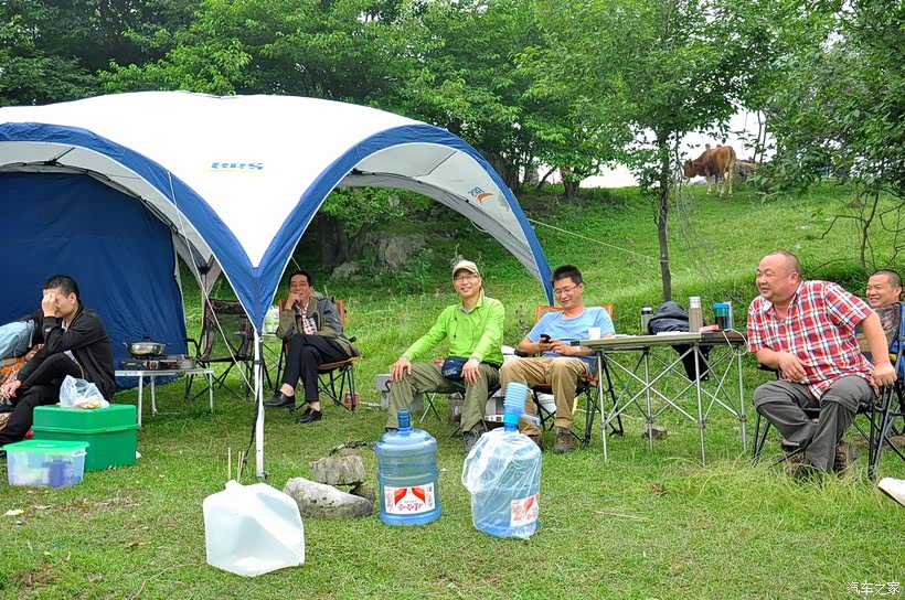 揭秘安营扎寨背后的生肖奥秘，答案与解释的深度剖析