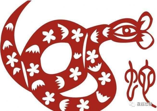 揭秘天罗地网，生肖答案的全面解析与落实