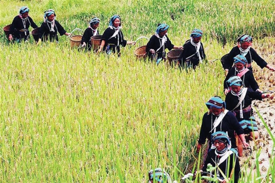 眉开眼笑与生肖的奇妙联系，揭秘背后的文化与智慧