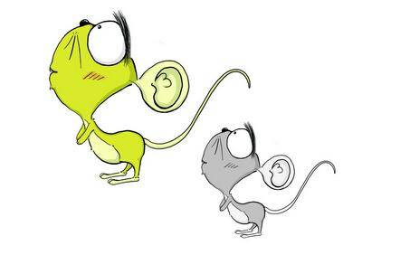 揭秘鼠肚鸡肠背后的生肖奥秘与学习解释的落实