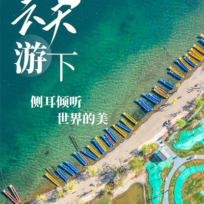 云游天下，生肖之谜的探索与解读