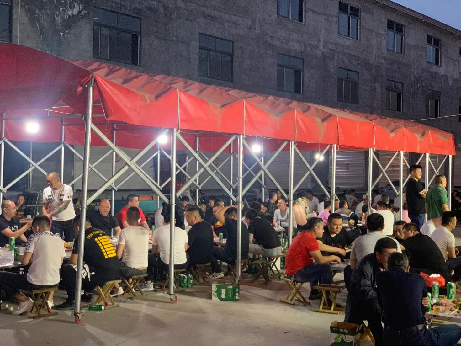 粉墨登场，生肖之谜的深度解析与最佳解释落实