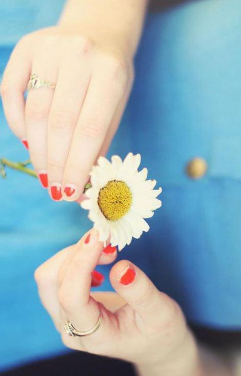 恣行无忌，权威揭晓最佳生肖答案与落实之道