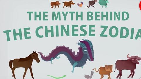 焦心如焚，揭秘生肖背后的故事