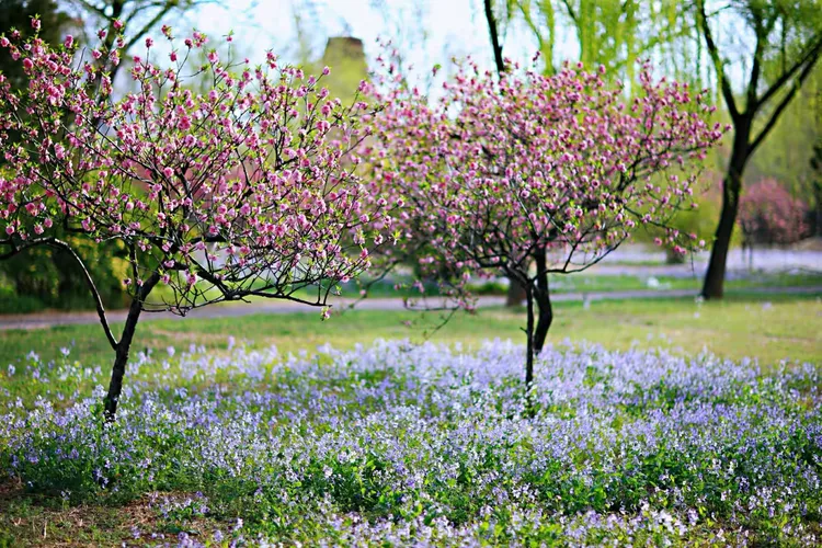 春深似海，谜底揭晓，生肖兔的温婉与智慧