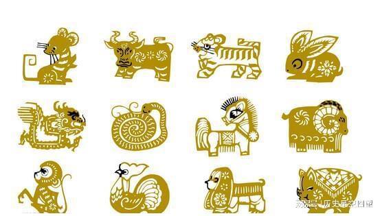 纸醉金迷与生肖的神秘联系，专业解读与文化探索