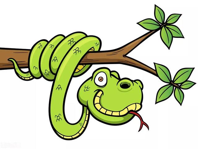 打草惊蛇与生肖智慧，理想解释的落实