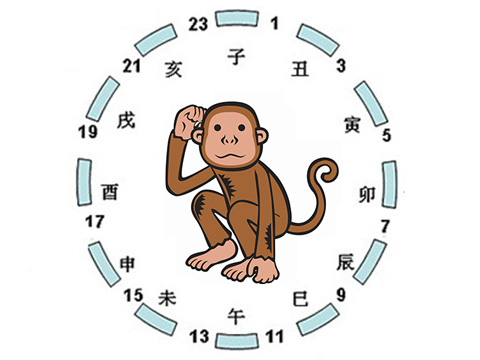 时断时续是什么生肖:精准解答落实