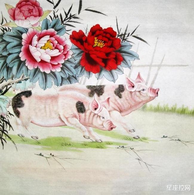 风调雨顺是指什么生肖、网络解释落实