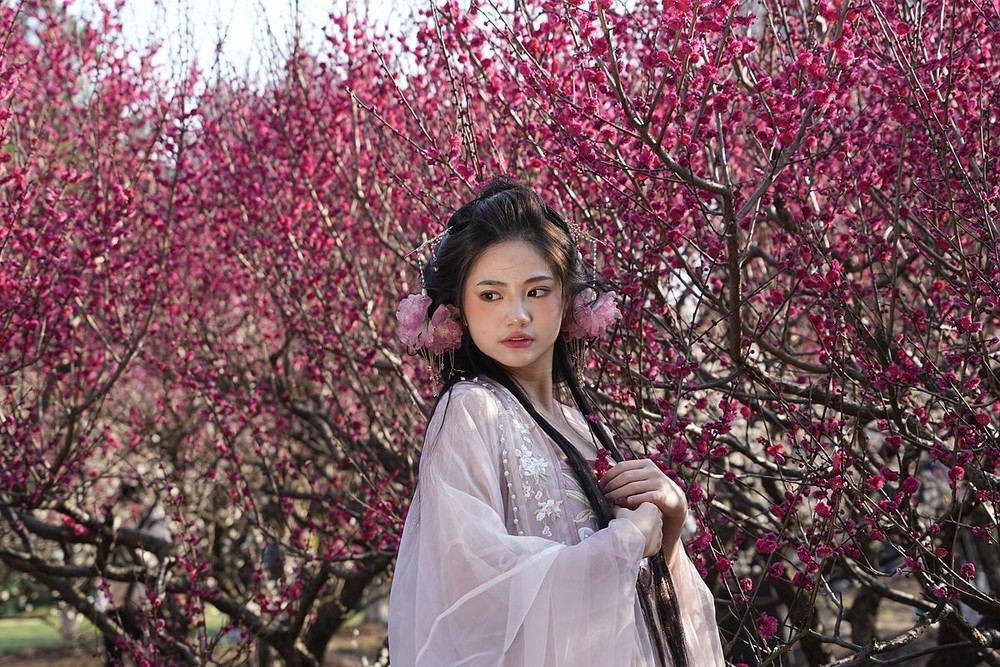 梅花美女与生肖之谜，一场神秘的文化解读