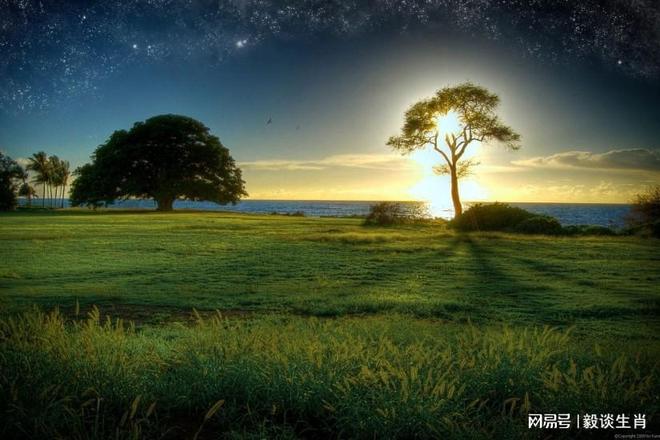 光芒万丈是什么生肖:第一解答落实