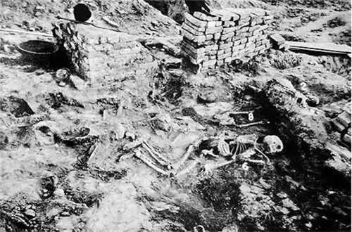 许由洗耳与生肖之谜，神秘解释的现代解读