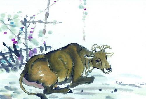 勤俭持家，揭秘生肖中的典范—牛的实证与智慧