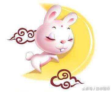 凹凸不平的生肖，生肖兔的独特性格解析