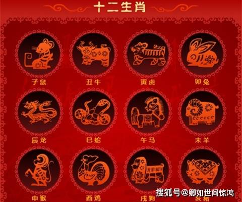东施效颦与生肖之谜，揭秘最佳匹配的生肖