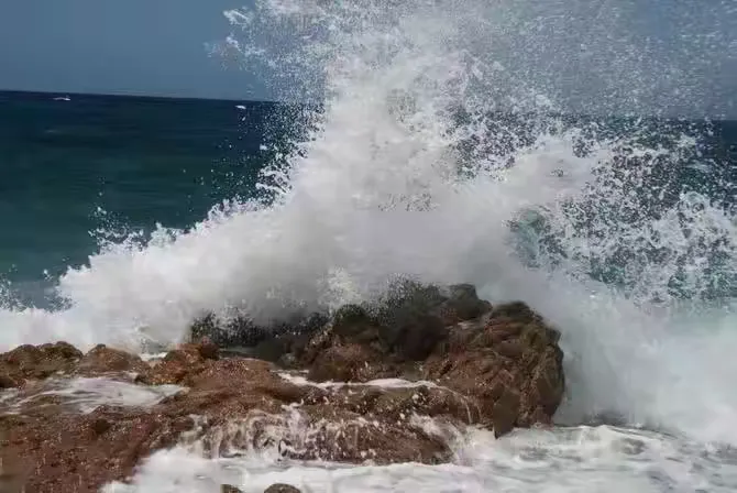 惊涛骇浪是什么生肖:最新解释落实