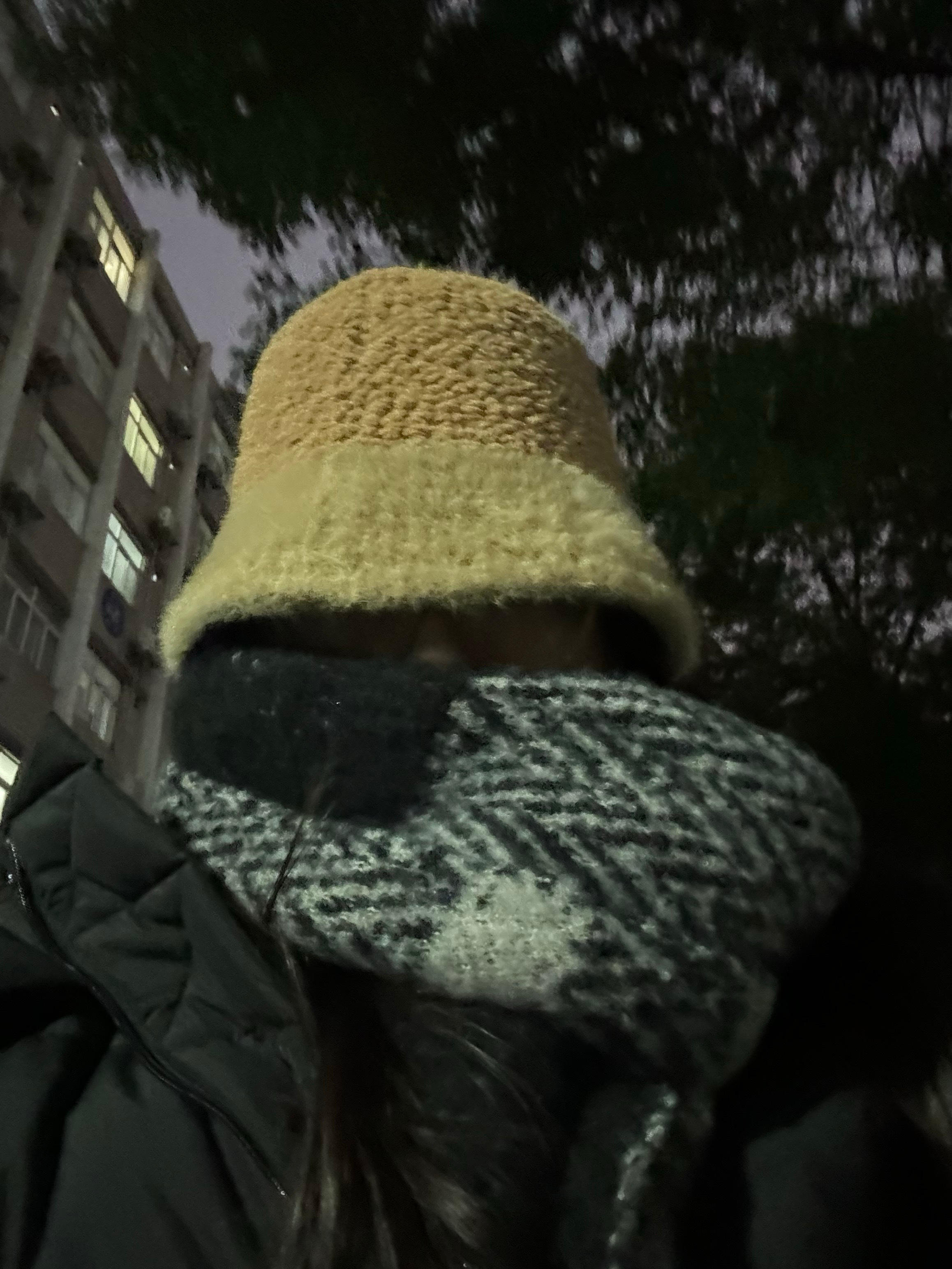 出头露面，生肖中的经典解读与现实启示