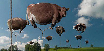 异想天开指什么生肖、专业解释落实