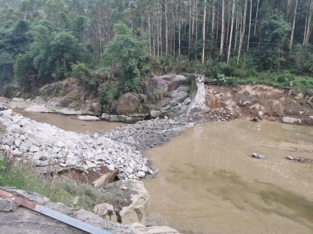 挺身而出打一生肖:详细解释落实