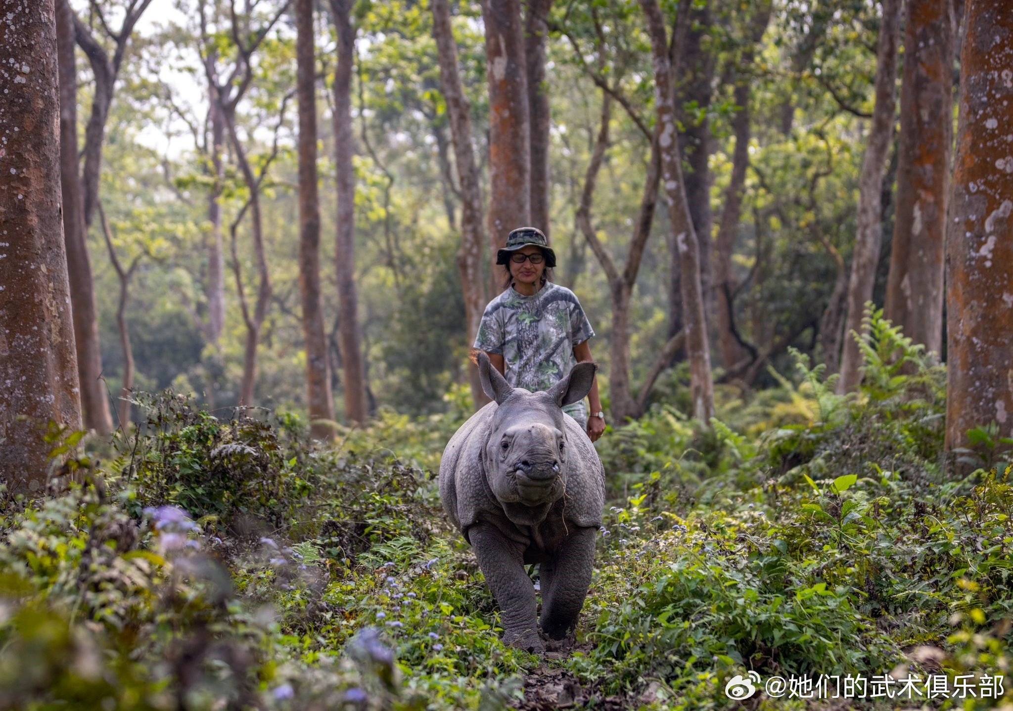 雪海冰山，自然界的守护者—企鹅的栖息地与正面解释的落实