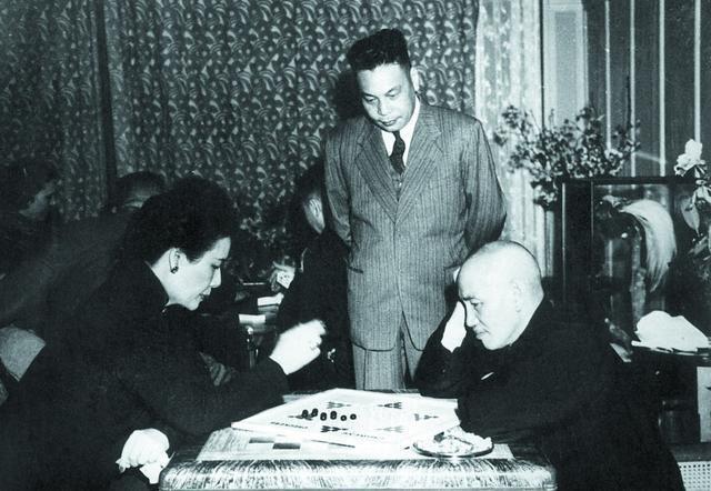 八斗之才与生肖的非凡解读，揭秘智慧与命运的交织