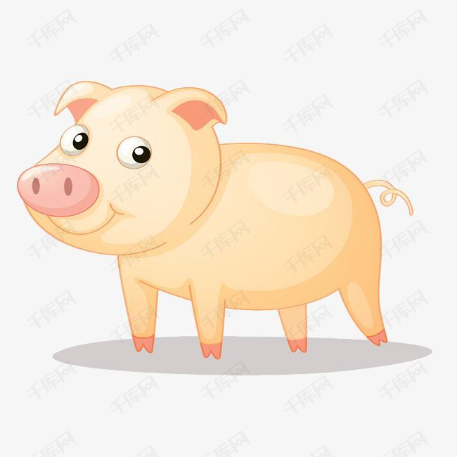 肥头大耳是什么生肖?深度解释落实