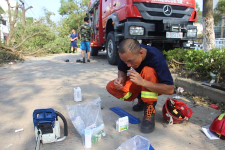 临危不惧，揭秘属相中的勇敢灵魂—生肖之虎