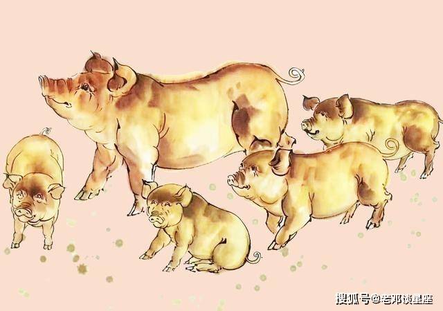 当头棒喝打一最佳生肖动物、非凡作答落实解释