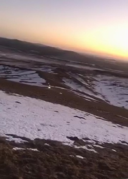 如履平地，揭秘最佳生肖的智慧与策略