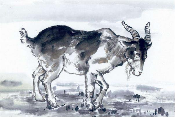 地动山摇是什么生肖、专业作答落实解释