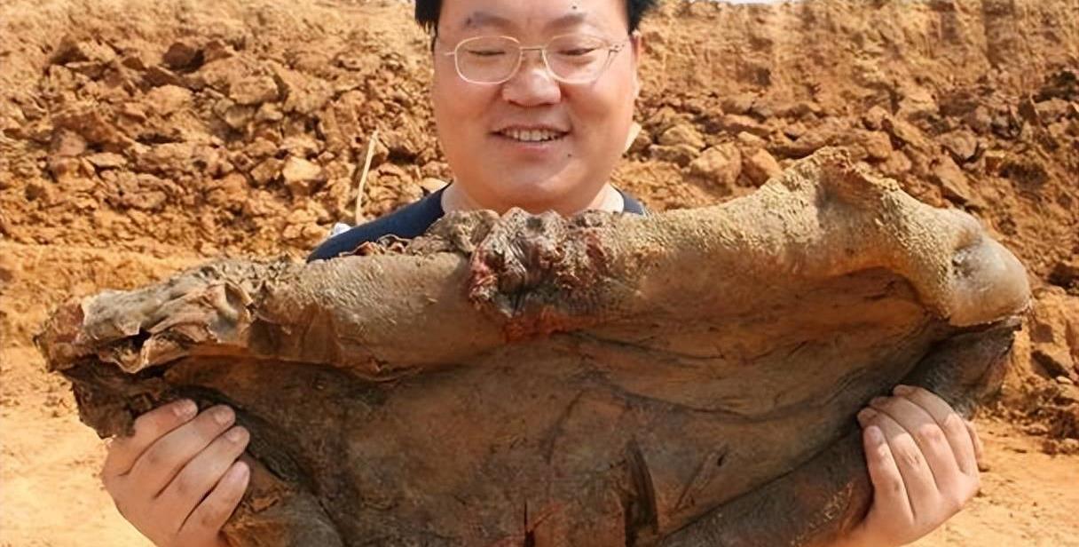 雷大雨小，揭秘生肖之谜