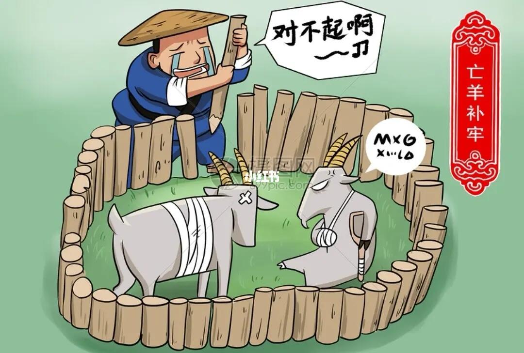 亡羊补牢打一个生肖、能人解释落实