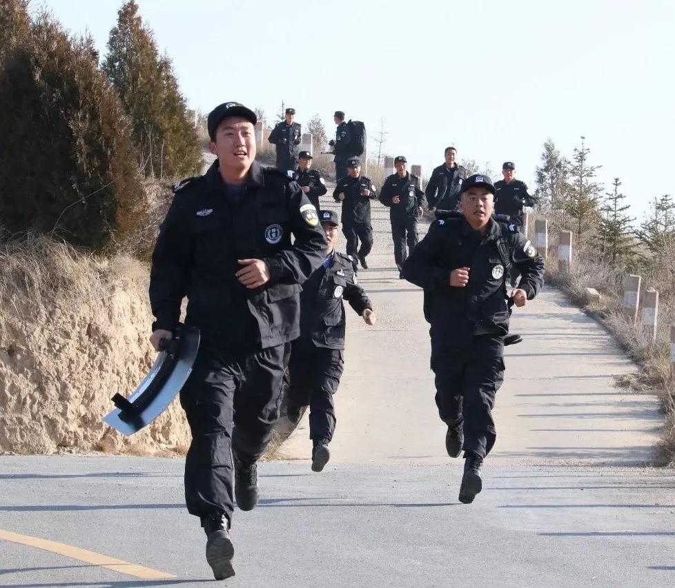 千锤百炼，打造经典动物形象的智慧与坚持