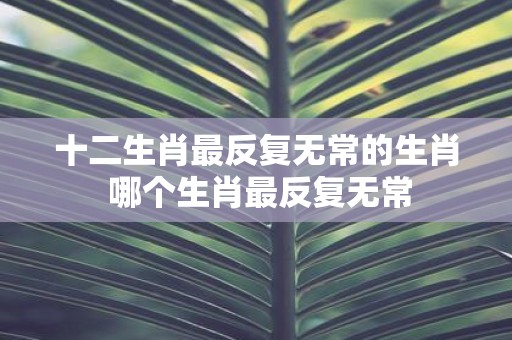 变化无常的生肖，龙
