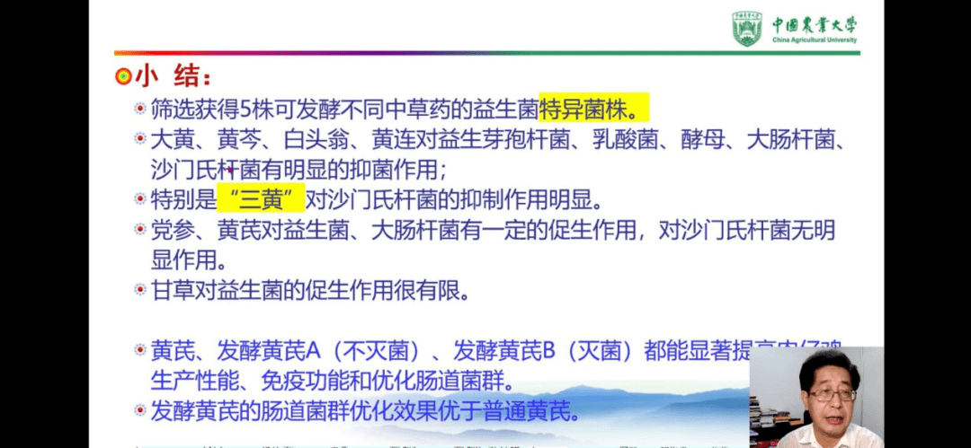三顾茅庐打一最佳动物、创造作答落实解释