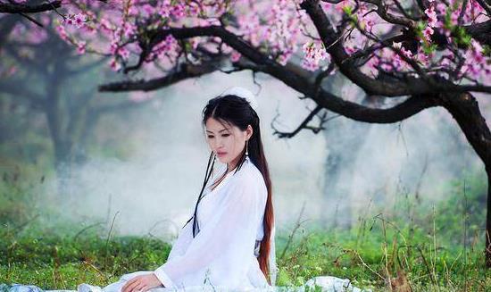 一见如故打一生肖、最新发布解释落实