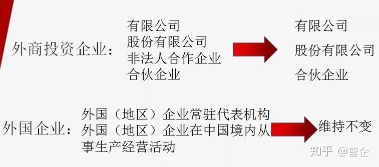 铿锵有力是什么生肖?惠泽解释落实