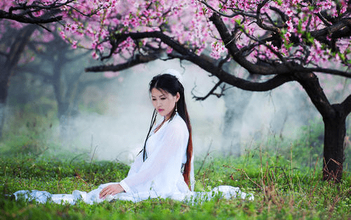 探秘红杏出墙背后的生肖寓意与正面解读