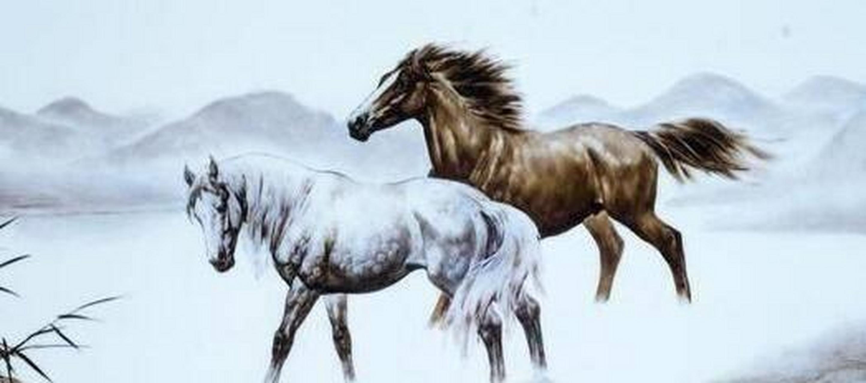 英勇善战是什么生肖:答案解释落实