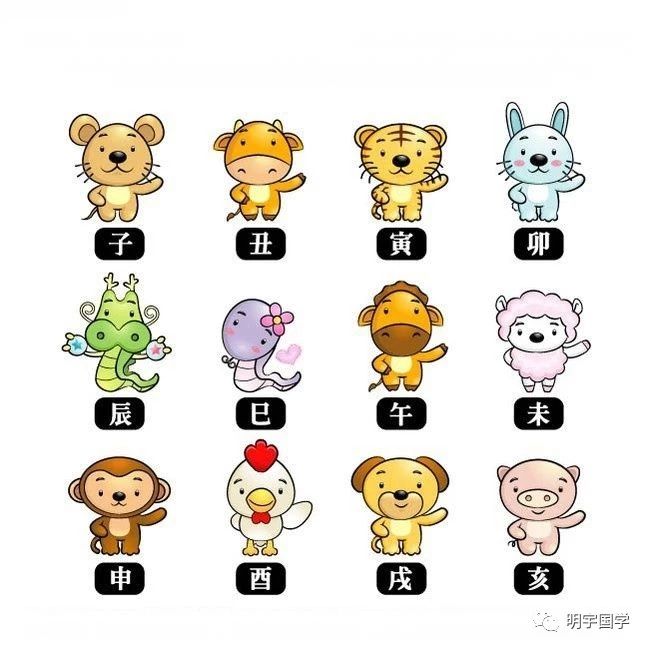 坐卧不宁，揭秘生肖中的不安分之选