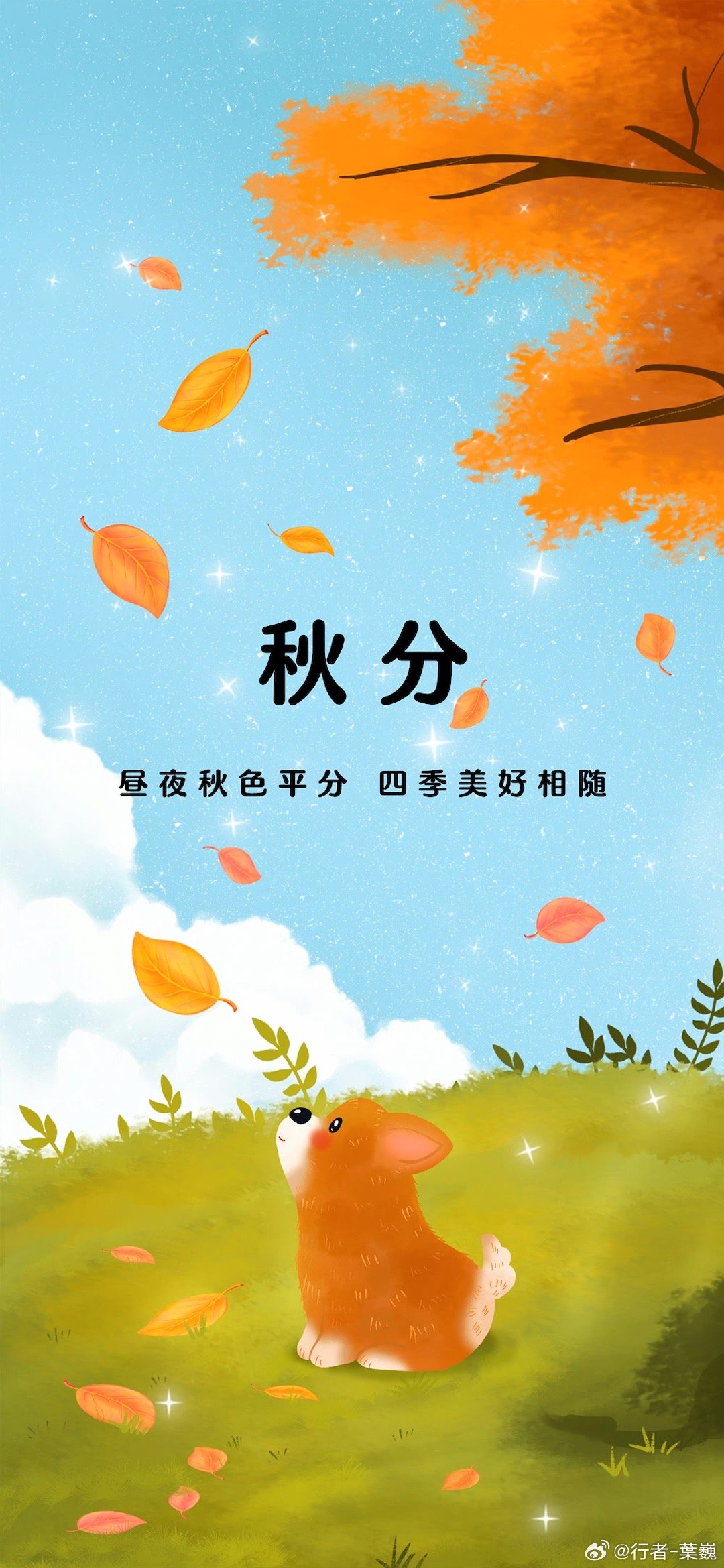 平分秋色与生肖之谜，一场智慧与趣味的探索