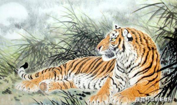 独断专行是什么生肖、常常解释落实