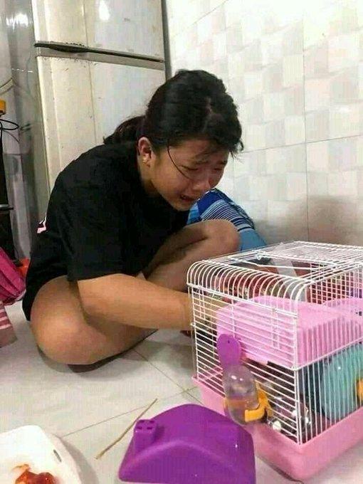 忐忑不安，谜底揭晓—生肖中的未定之数