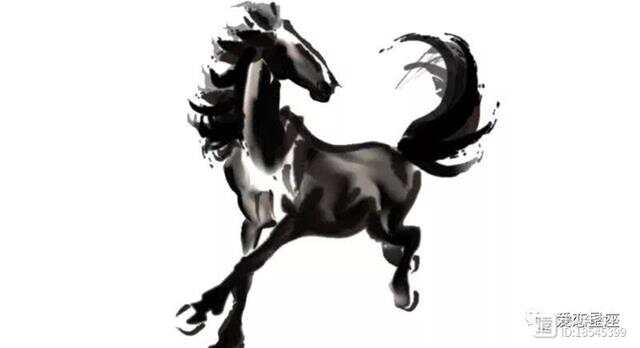 英勇善战是什么生肖:答案解释落实