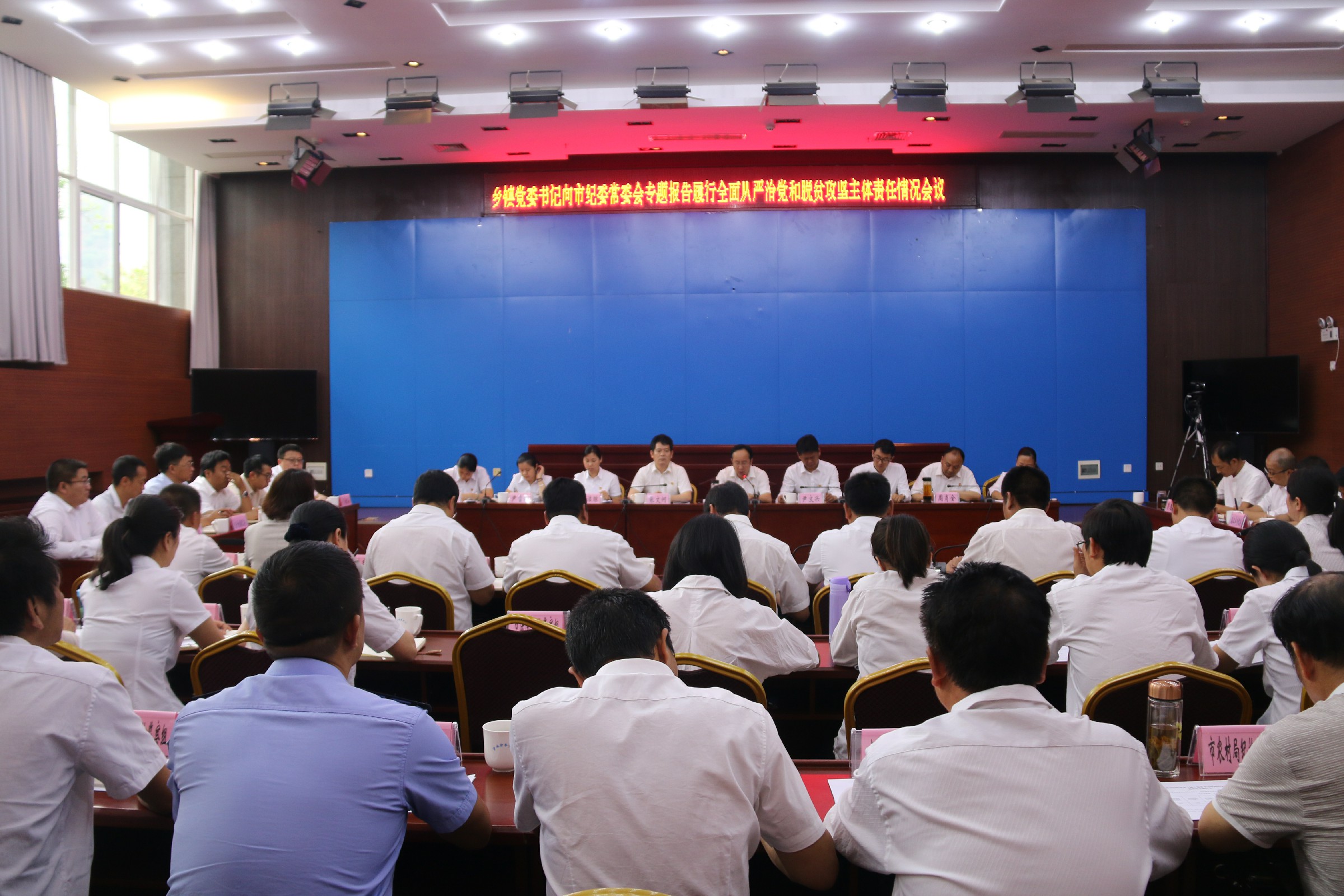 走马观花打一生肖、正面作答落实解释