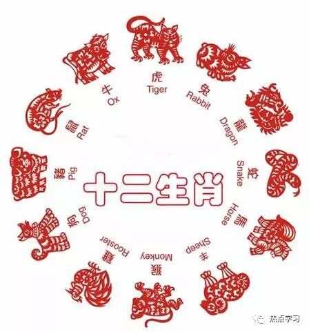 秀才元帅找杏花，生肖之谜的揭晓