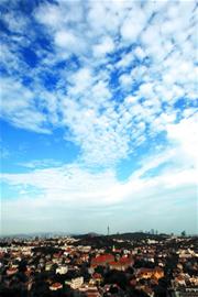 碧空如洗是什么生肖、积极作答落实解释