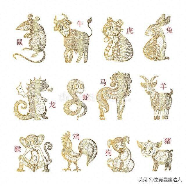 热火朝天—揭秘与生肖的精准联系